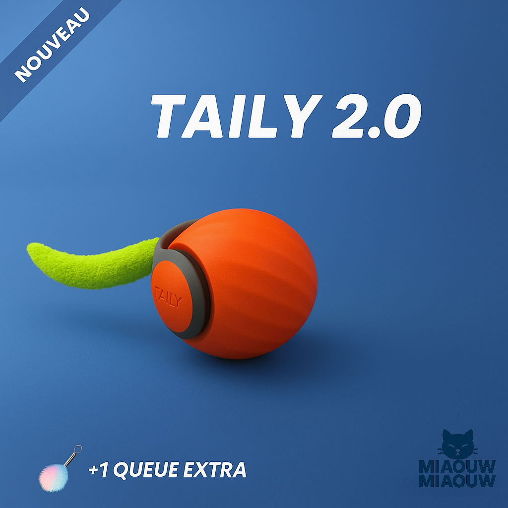 Taily 2.0