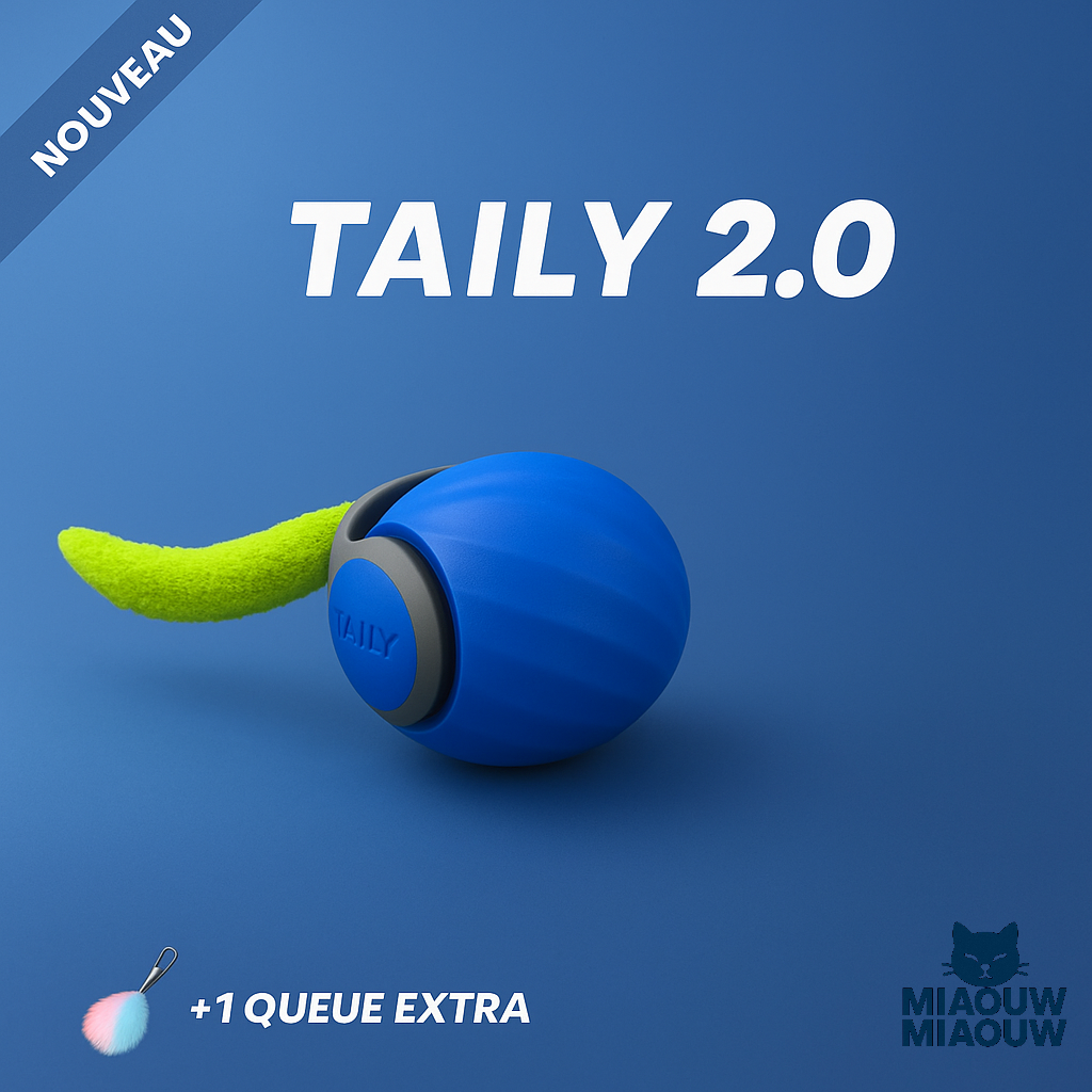 Taily 2.0